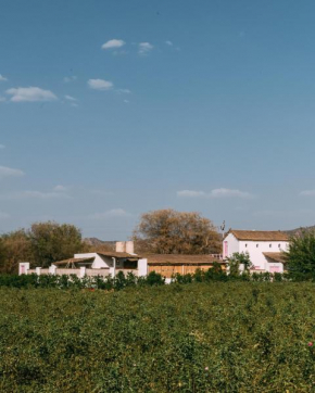 The Luxe Pushkar - A Luxury Farmstay in Pushkar